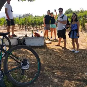 Explore 14 Days Luxury Honeymoon in Chile for 14 days with Responsible Travel South America and discover unforgettable experiences - Photo 8