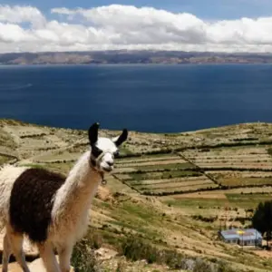 Explore 13 Days Peru & Bolivia: Andean Natural Treasures for 13 days with Responsible Travel South America and discover unforgettable experiences - Photo 10