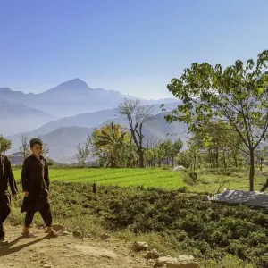 Explore 8 Days Swat Valley Cherry Blossom Tour for 8 days with Rock Valley Tours Pvt Ltd and discover unforgettable experiences - Photo 4