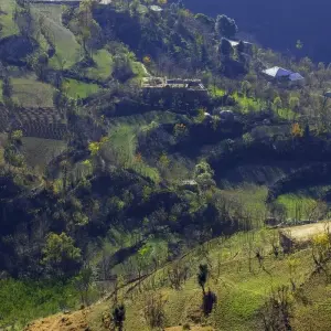 Explore 8 Days Swat Valley Cherry Blossom Tour for 8 days with Rock Valley Tours Pvt Ltd and discover unforgettable experiences - Photo 5