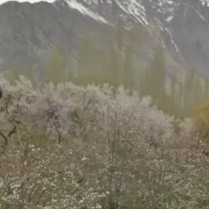 Explore 08 Days Overland Tour Hunza Gojal Valley Gilgit Pakistan for 8 days with Rock Valley Tours Pvt Ltd and discover unforgettable experiences - Photo 5