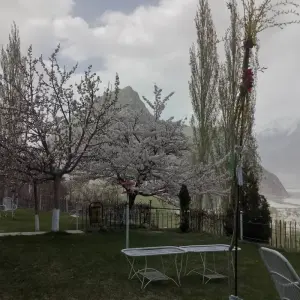 Explore 11 Days Trek  Nanga Parbat Base Camp & Hunza Gojal Valley Pakistan for 11 days with Rock Valley Tours Pvt Ltd and discover unforgettable experiences - Photo 5