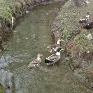 Explore 08 Days Overland Tour Hunza Gojal Valley Gilgit Pakistan for 8 days with Rock Valley Tours Pvt Ltd and discover unforgettable experiences - Photo 7