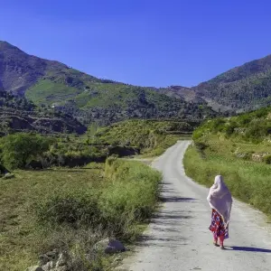 Explore 8 Days Swat Valley Cherry Blossom Tour for 8 days with Rock Valley Tours Pvt Ltd and discover unforgettable experiences - Photo 10