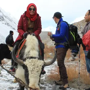 Explore 18 Days Yak Safari Shimshal Pass 4735m Hunza Pakistan for 20 days with Rock Valley Tours Pvt Ltd and discover unforgettable experiences - Photo 8