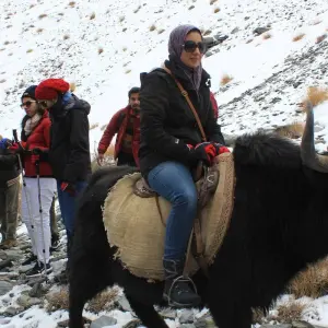 Explore 18 Days Yak Safari Shimshal Pass 4735m Hunza Pakistan for 20 days with Rock Valley Tours Pvt Ltd and discover unforgettable experiences - Photo 11