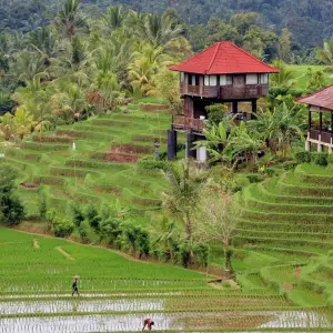 Explore 5 Days in Bali including Bali Instagram Tour: Lempuyang Temple, Goa Raja Waterfall and More for 5 days with STM Tours LLC and discover unforgettable experiences - Photo 6