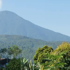 Explore 5 Days in Bali including Adventure Tour: Hidden Canyon Trekking, Goa Gajah Temple and More for 5 days with STM Tours LLC and discover unforgettable experiences - Photo 7