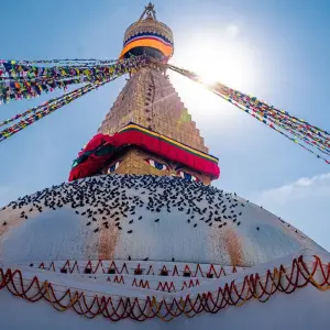 Explore 17 Days Natural Nepal for 17 days with STM Tours LLC and discover unforgettable experiences - Photo 9