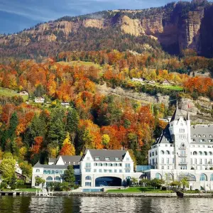 Explore 7 Day Zurich And Lucerne By Train for 7 days with STM Tours LLC and discover unforgettable experiences - Photo 6