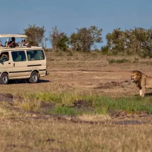 Explore Victoria Falls & East Africa Adventure for 19 days with Scenic Luxury Cruises & Tours and discover unforgettable experiences - Photo 5