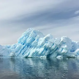 Explore Antarctica's Ross Sea: Majestic Ice & Wildlife 2026 - 24 Days (from Hobart to Dunedin) for 24 days with Scenic Luxury Cruises & Tours and discover unforgettable experiences - Photo 9