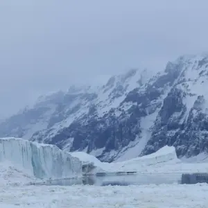 Explore Antarctica's Ross Sea: Majestic Ice & Wildlife 2026 - 24 Days (from Hobart to Dunedin) for 24 days with Scenic Luxury Cruises & Tours and discover unforgettable experiences - Photo 10