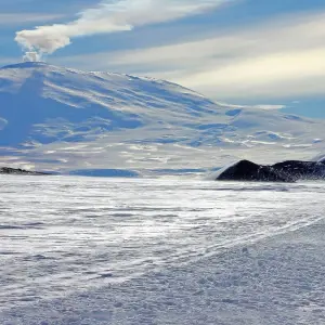 Explore Antarctica's Ross Sea: Majestic Ice & Wildlife 2026 - 24 Days (from Hobart to Dunedin) for 24 days with Scenic Luxury Cruises & Tours and discover unforgettable experiences - Photo 11