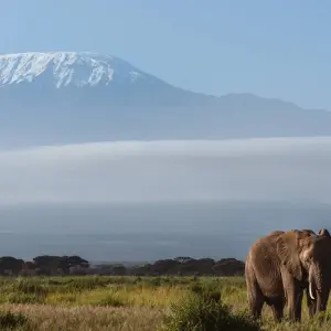 Explore Kenyan Discovery for 12 days with Scenic Luxury Cruises & Tours and discover unforgettable experiences - Photo 4