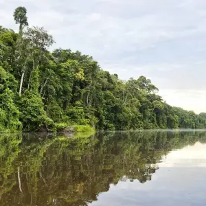 Explore Machu Picchu, Amazon & Antarctic Odyssey - Cruise & Land Journey 2026 - 34 Days for 34 days with Scenic Luxury Cruises & Tours and discover unforgettable experiences - Photo 8