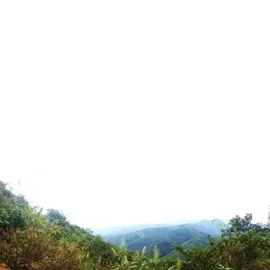 Explore Cycle Vietnam to Laos - 20 Days for 20 days with Social Cycles and discover unforgettable experiences - Photo 9