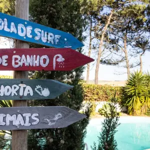 Explore Santa Cruz Surf Camp for 4 days with Stoke Travel and discover unforgettable experiences - Photo 7