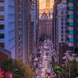 Explore 7-day West Coast America Tour for 7 days with The Coyote Trip and discover unforgettable experiences - Photo 8