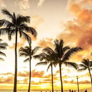 Explore Hawaii Four Island Adventure (Premium Cruise) for 13 days with Trafalgar and discover unforgettable experiences - Photo 4