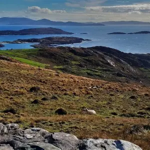Explore Best of Ireland for 10 days with Trafalgar and discover unforgettable experiences - Photo 2