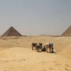 Explore Best of Egypt (Winter) for 9 days with Trafalgar and discover unforgettable experiences - Photo 4