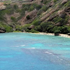 Explore Best of Hawaii (Moderate Cruise) for 10 days with Trafalgar and discover unforgettable experiences - Photo 4