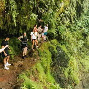 Explore Costa Rica Adventure for 10 days with TruTravels and discover unforgettable experiences - Photo 2