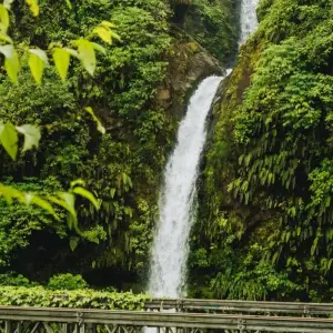 Explore Costa Rica Adventure for 10 days with TruTravels and discover unforgettable experiences - Photo 3