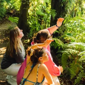 Explore Costa Rica Adventure for 10 days with TruTravels and discover unforgettable experiences - Photo 5