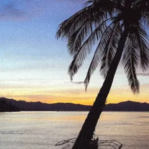 Explore Philippines East for 8 days with TruTravels and discover unforgettable experiences - Photo 5