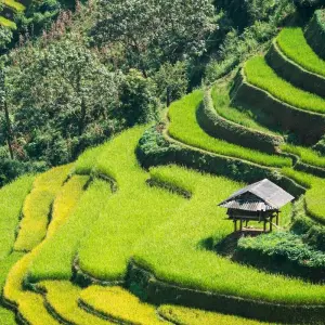 Explore 15 Days Vietnam and Thailand off The Beaten Track  (private guide & driver） for 15 days with UME Travel Co. Ltd and discover unforgettable experiences - Photo 9