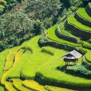 Explore 25 Days Nature Beauty of Vietnam and Thailand (private guide & driver） for 25 days with UME Travel Co. Ltd and discover unforgettable experiences - Photo 10