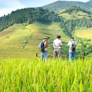 Explore 15 Days  China Yangtze Three Gorges Cruise and Li River with family (private guide & driver） for 15 days with UME Travel Co. Ltd and discover unforgettable experiences - Photo 3