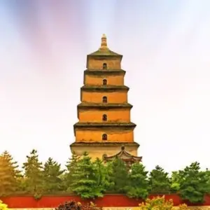 Explore 12 Days China Discover the Pearl of the Orient with family  (private guide & driver） for 12 days with UME Travel Co. Ltd and discover unforgettable experiences - Photo 5