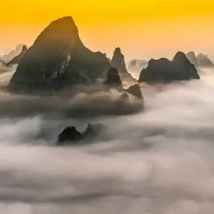 Explore 12 Days China Discover the Pearl of the Orient with family  (private guide & driver） for 12 days with UME Travel Co. Ltd and discover unforgettable experiences - Photo 9