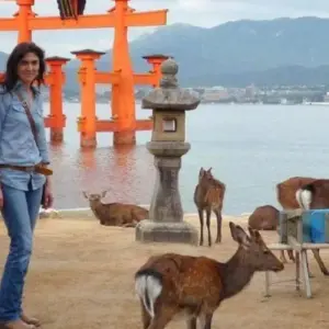 Explore 6 Days Japan: Historical sites & Temple （Private Guide and Driver）- Umetravel for 6 days with UME Travel Co. Ltd and discover unforgettable experiences - Photo 5