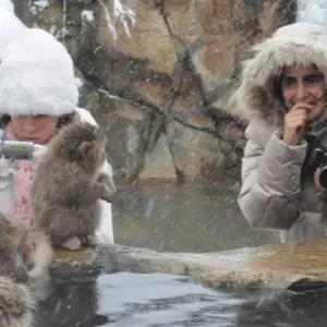 Explore 14 Days Japan Exploration Tour（Private Guide and Driver）- Umetravel for 14 days with UME Travel Co. Ltd and discover unforgettable experiences - Photo 4