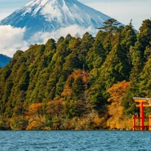 Explore 8 Days Japan's Kanto In-depth Tour（Private Guide and Driver）- Umetravel for 8 days with UME Travel Co. Ltd and discover unforgettable experiences - Photo 3