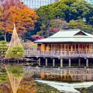 Explore 6 Days Japan's Adventure Classis （Private Guide and Driver）- Umetravel for 6 days with UME Travel Co. Ltd and discover unforgettable experiences - Photo 8