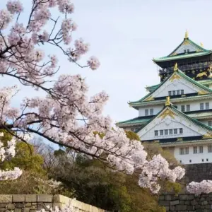 Explore 12 Days Highlights of Japan Tour（Private Guide and Driver）- Umetravel for 12 days with UME Travel Co. Ltd and discover unforgettable experiences - Photo 6