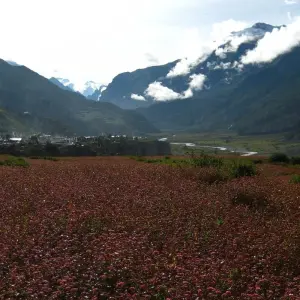 Explore Annapurna Circuit Trek for 17 days with Unique Adventure International Pvt. Ltd. and discover unforgettable experiences - Photo 9