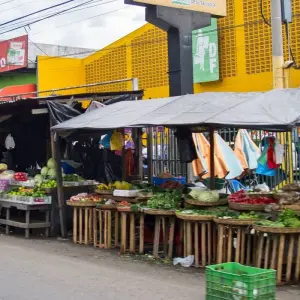 Explore Tour El Salvador: Unveil a Wonderful Mosaic of Culture, History, and Nature for 8 days with Vibe Adventures and discover unforgettable experiences - Photo 6