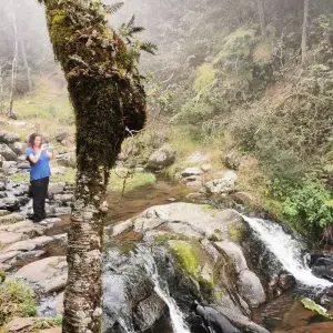 Explore Gulf of Mexico Tour: a Journey Across Sierra Madre Oriental Cities for 8 days with Vibe Adventures and discover unforgettable experiences - Photo 3