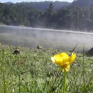 Explore Cuernavaca Tour: Unearth the Gems of the Eternal Spring State for 4 days with Vibe Adventures and discover unforgettable experiences - Photo 10
