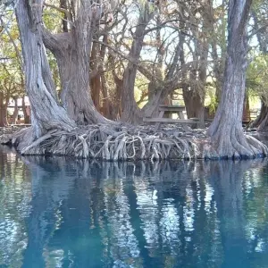 Explore Michoacan Tour: Magic Towns, the Youngest Volcano and More for 8 days with Vibe Adventures and discover unforgettable experiences - Photo 9