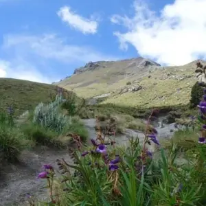 Explore Mexico City Hiking Tour: Trek Glorious Volcanoes for 3 days with Vibe Adventures and discover unforgettable experiences - Photo 5