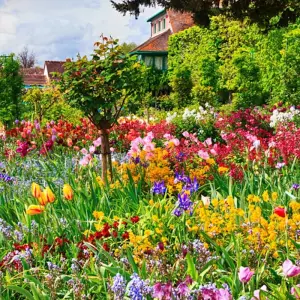 Explore Paris Normandy for 12 days with Wherever Tours and discover unforgettable experiences - Photo 3