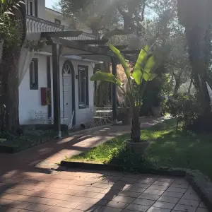 Explore 4 Days South Italy Trip: amazing Experience in Sorrento and Amalfi Coast for 4 days with Wherever Tours and discover unforgettable experiences - Photo 8