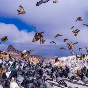 Explore 12 Days Turkish Delight for 12 days with Wonderful Holidays UK and discover unforgettable experiences - Photo 2